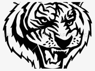 Drawn White Tiger Transparent - Illustration #9754513