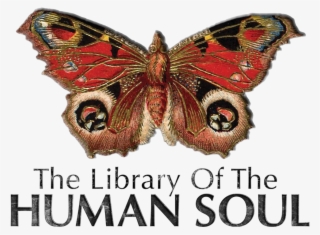 Logo Og - Vintage Butterfly Tattoo #9754662