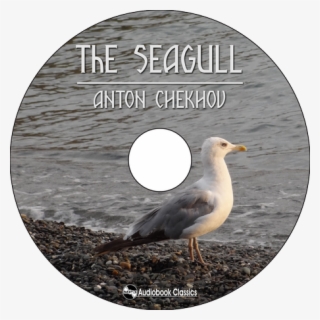 Specification - Great Black-backed Gull #9754866