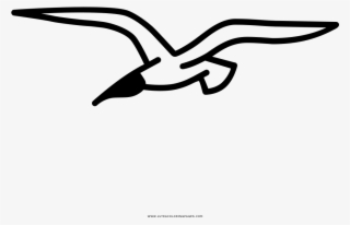 Seagull Coloring Page #9754917 Seagull Coloring Page #9754917