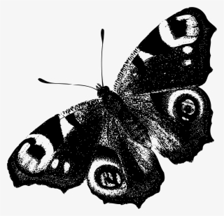 Clipart Butterfly Black Big Image Png - Papillon Paon De Jour #9754966