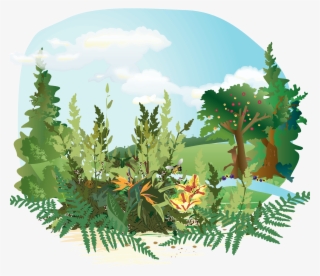 Eden Garden Bible Hd #9755810