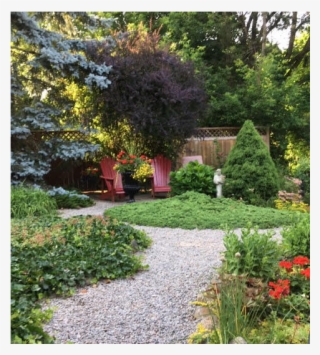 Stunning Home, Heart Of Toronto - Yard #9756629