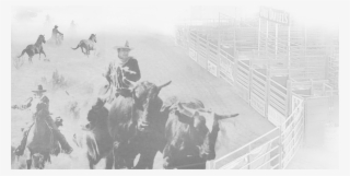 Portable Livestock Arena And Buckin Chutes - Bull Riding #9757122