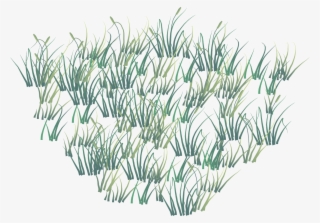 Vector Grass Png - Grass #9761339
