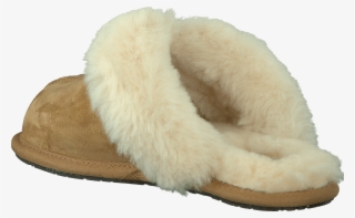 Afbeelding Van Uggs Scuffette Dames - Fur Clothing #9761408