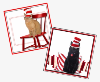 Wally Ernie Dr - Cat Grabs Treat #9762397