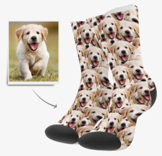 Face Mash Dog - Dalmatian #9762446