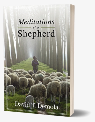 Meditations Of A Shepherd - Bighorn #9762491