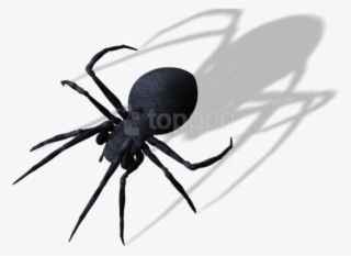 Free Png Spider Png Images Transparent - Spider Png #9763967