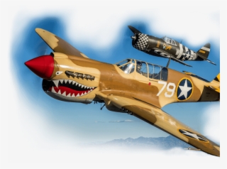 A Live History Museum - Curtiss P-40 Warhawk #9763971