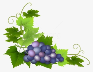 Free Png Grape Png #9764648