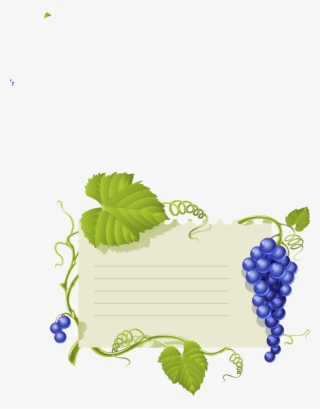 Common Grape Vine Leaves #9764821