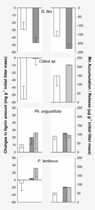 Changes, Over 403 Days Litter Incubation In Situ, In - Diagram #9765818