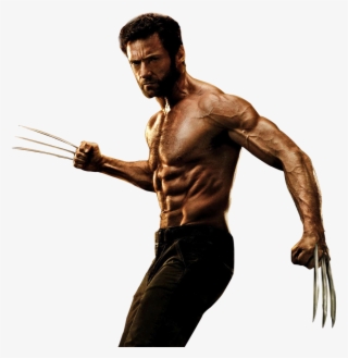 The Wolverine 2013 Movie Render By Shazly250 D5ke1fd - Hugh Jackman Wolverine Png #9766529