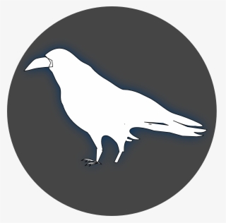 Raven Black Clip Art - White Raven Clipart #9767456