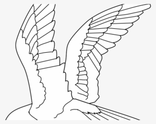 Drawn Raven Flying - Birds Lineart #9767645