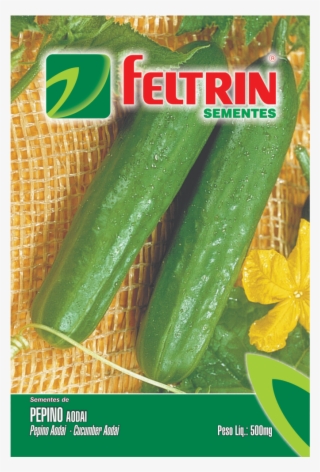 Semente Beterraba Feltrin #9767920 Semente Beterraba Feltrin #9767920