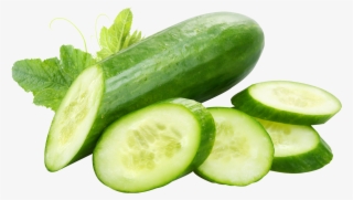 Cucumber Transparent Background - Transparent Background Cucumber Png #9768231