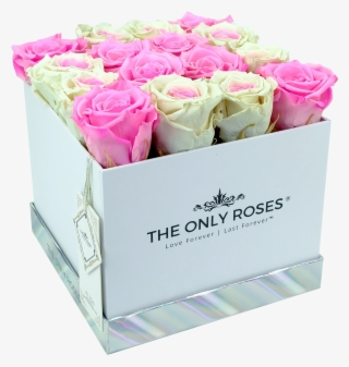 Special Pink And White Preserved Roses - Garden Roses #9768830