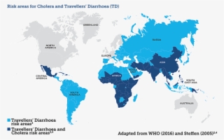 Disease Risk Map - Simple High Quality World Map #9770525