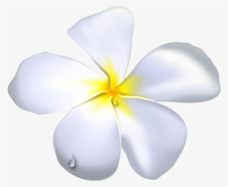 Black Outline White Flowers Temple Drawing Flower - Step By Step Temple Flower Drawing #9770999