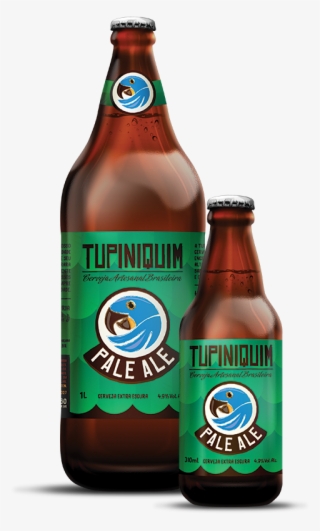 Pale Ale - Glass Bottle #9771189