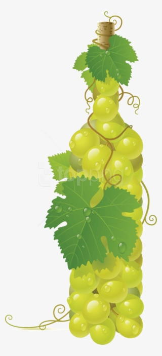 Free Png Winebottle Out Of Grapes Png Images Transparent - Bottle Of Grapes Clip Art #9772112