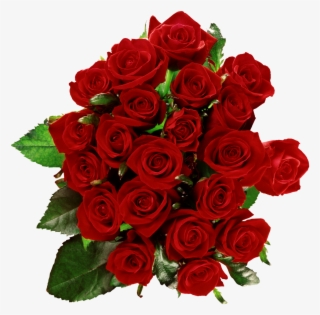 Flores Png, Ramos, Etc, Renders - Rose Flower Photo Download #9772688