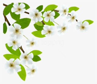 Free Png Download White Spring Branch Png Images Background - Spring Leaves Transparent #9774826