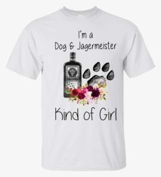 Jagermeister T Shirts Clothing - Dont Mess With Auntasaurus #9776967