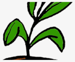 Pot Plant Clipart Office Plant - Plant Clip Art #9777773