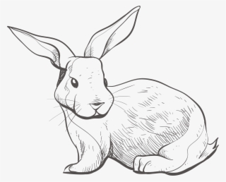 3748 X 3022 4 - Line Art #9778157