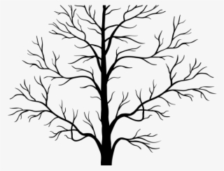 Original - Free Transparent Tree Silhouette #9779309