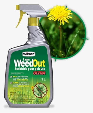 No More Hand Weeding #9779600 No More Hand Weeding #9779600
