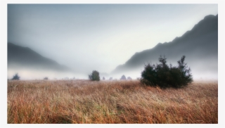 Score 50% - Wallpaper #9780317