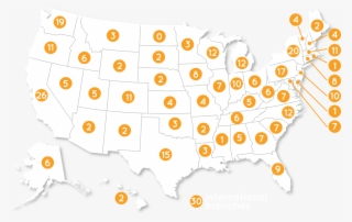 Forest Clipart - Limitless Usaa Cash Back #9782127