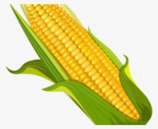 Corn Clipart Elote - Dibujo Elote Png #9782529