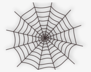 Arachnid Clipart Spiderman Web - Cobweb Png #9782828