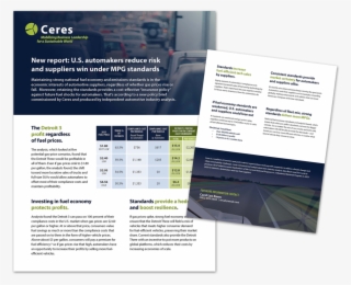 Ceres Report Handout - Flyer #9783462