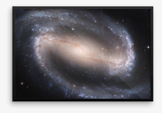 Tesla Quote Energy Frequency Vibration #9785403