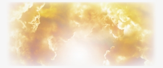 Morning Light Web14 - Macro Photography #9786238