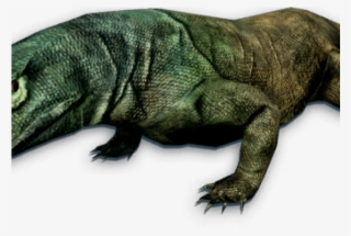 Monitor Lizard Clipart Komodo Dragon - Komodo Dragon #9786239