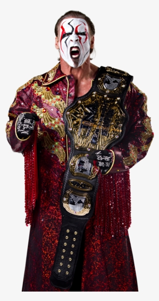 Tna World Heavyweight Champion Sting - Sting Tna World Heavyweight Champion #9786538