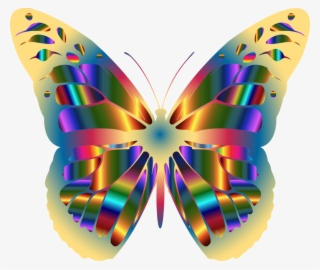 Jpg Royalty Free Library Monarch Butterfly Brush Footed - Beautiful Butterfly Clip Art #9787458