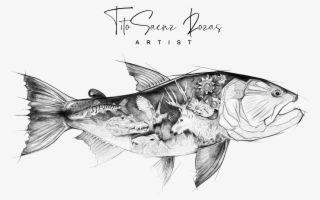 Doradografiti01 - Spotted Weakfish #9788449