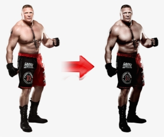 Posted Image - Brock Lesnar Mma Gear #9788697