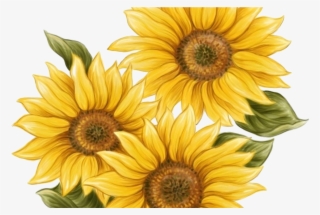 15 Watercolor Sunflower Png For Free Download On Mbtskoudsalg - Sunflower Twenty One Pilots #9789240