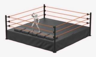 Free Gift - Boxing Ring #9789291