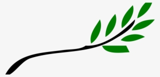 Out On A Limb Woodworking Products From - Olive Tree Branch Clipart #9790397